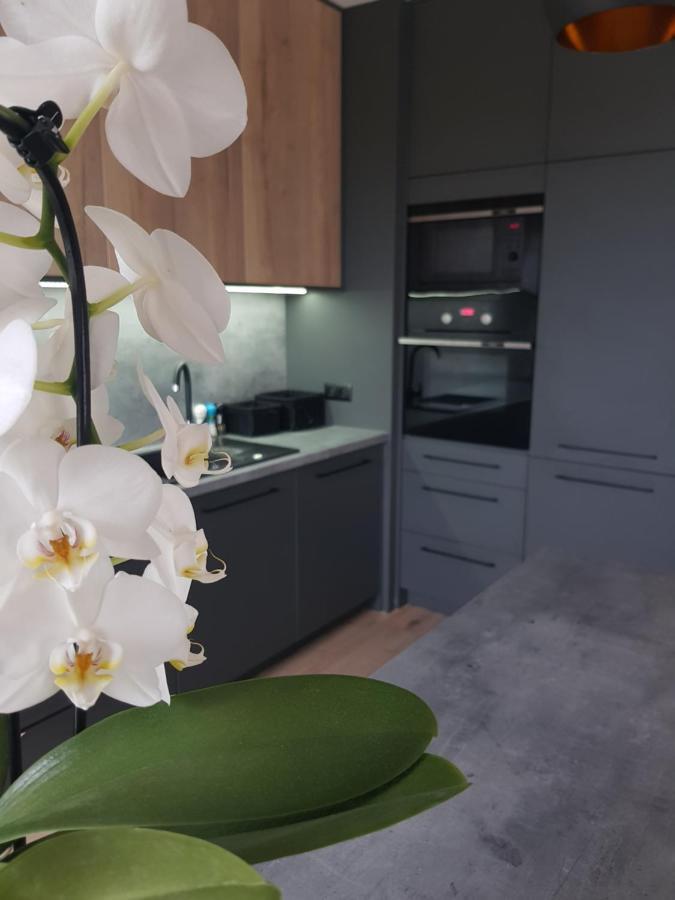 Luksusowe Apartamenty Na Torunskiej Kwidzyn Exterior photo